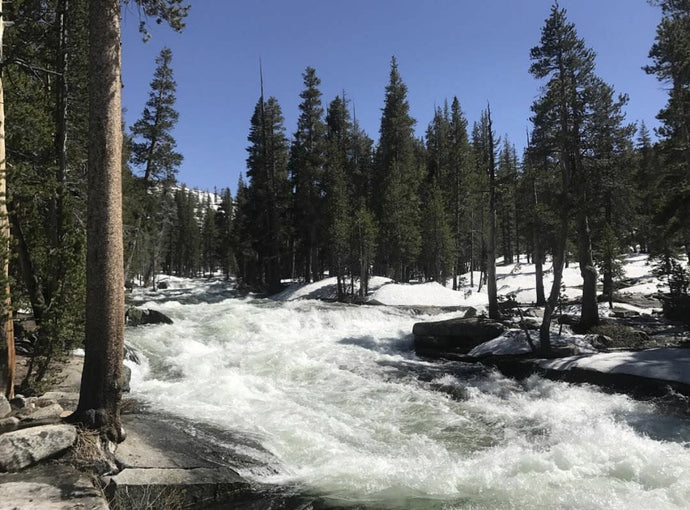 Trail Update: Kennedy Meadows to Ashland