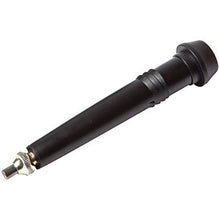 Black Diamond Trekking Pole Tip